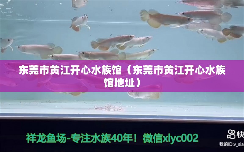 东莞市黄江开心水族馆（东莞市黄江开心水族馆地址）