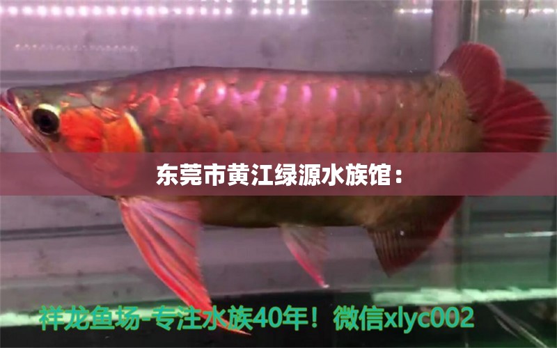 东莞市黄江绿源水族馆：