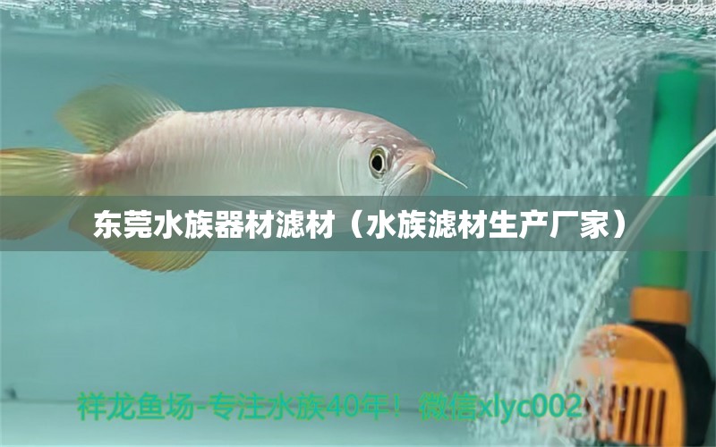 东莞水族器材滤材（水族滤材生产厂家）