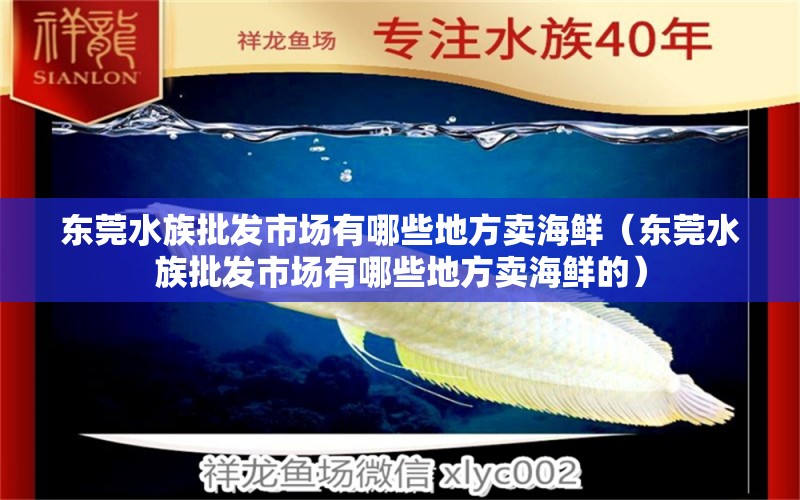 东莞水族批发市场有哪些地方卖海鲜（东莞水族批发市场有哪些地方卖海鲜的）