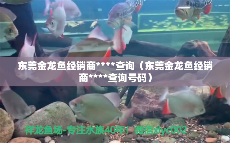 东莞金龙鱼经销商****查询（东莞金龙鱼经销商****查询号码） 祥龙水族医院