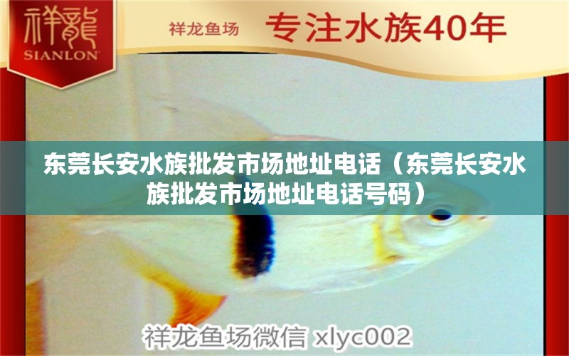 东莞长安水族批发市场地址电话（东莞长安水族批发市场地址电话号码）