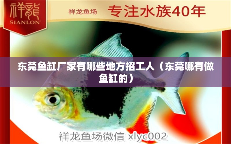 东莞鱼缸厂家有哪些地方招工人（东莞哪有做鱼缸的） 广州观赏鱼批发市场
