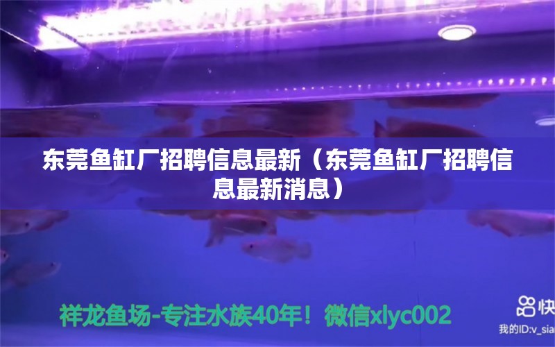 东莞鱼缸厂招聘信息最新（东莞鱼缸厂招聘信息最新消息） 森森鱼缸