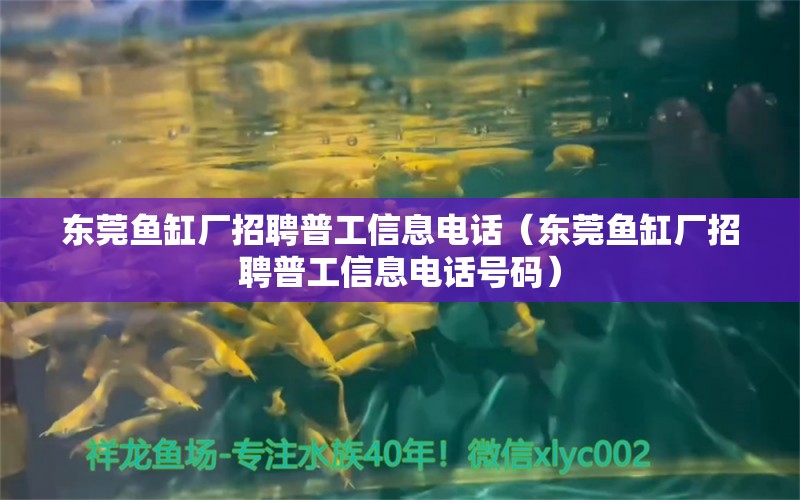 东莞鱼缸厂招聘普工信息电话（东莞鱼缸厂招聘普工信息电话号码）