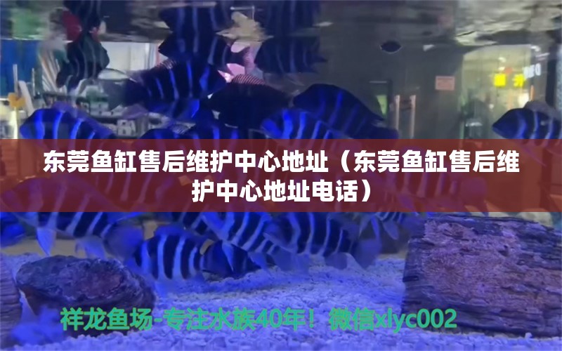 东莞鱼缸售后维护中心地址（东莞鱼缸售后维护中心地址电话） 其他品牌鱼缸