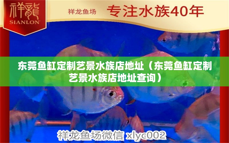 东莞鱼缸定制艺景水族店地址（东莞鱼缸定制艺景水族店地址查询）