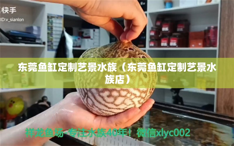 东莞鱼缸定制艺景水族（东莞鱼缸定制艺景水族店）