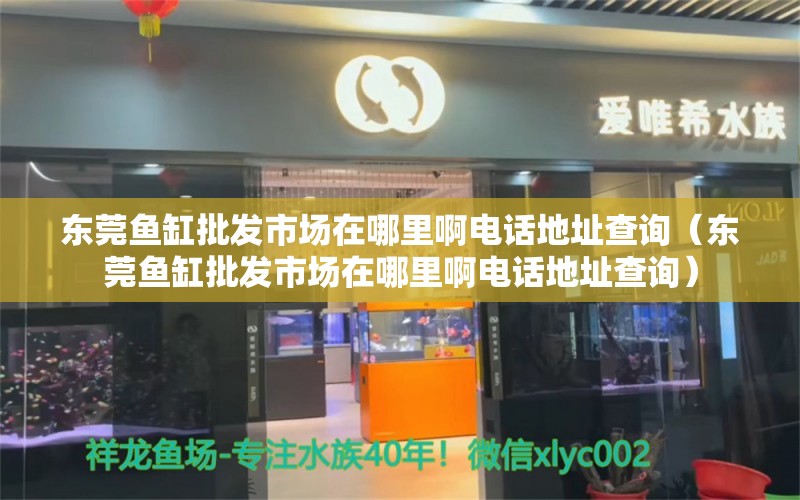 东莞鱼缸批发市场在哪里啊电话地址查询（东莞鱼缸批发市场在哪里啊电话地址查询）