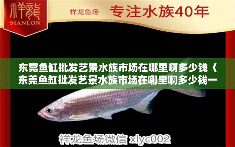 东莞鱼缸批发艺景水族市场在哪里啊多少钱（东莞鱼缸批发艺景水族市场在哪里啊多少钱一条）