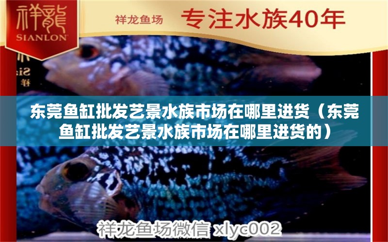 东莞鱼缸批发艺景水族市场在哪里进货（东莞鱼缸批发艺景水族市场在哪里进货的）