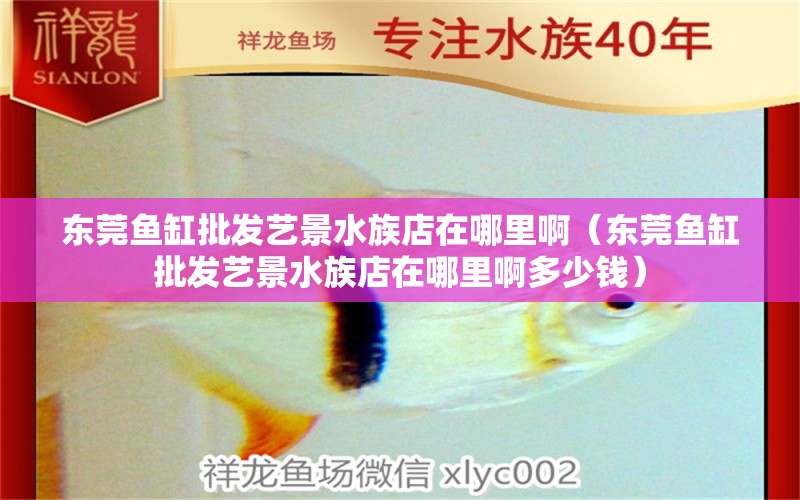 东莞鱼缸批发艺景水族店在哪里啊（东莞鱼缸批发艺景水族店在哪里啊多少钱）