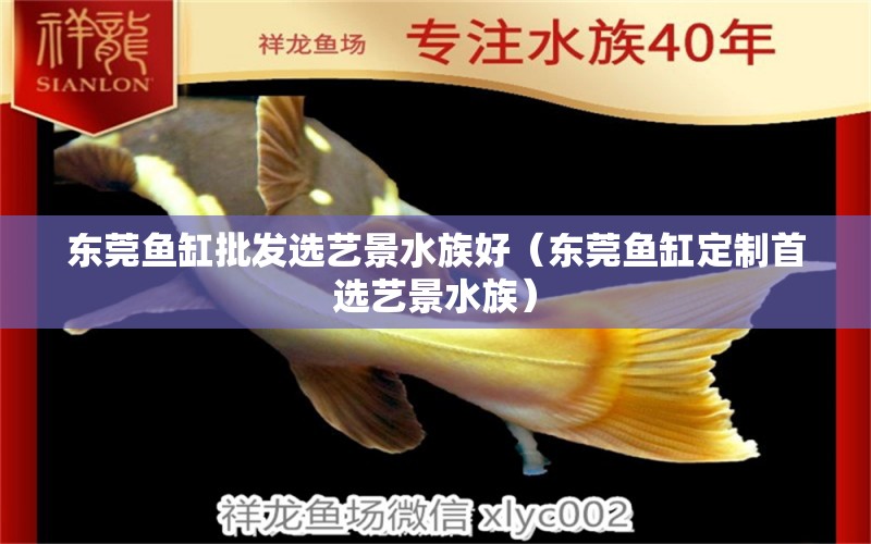 东莞鱼缸批发选艺景水族好（东莞鱼缸定制首选艺景水族）