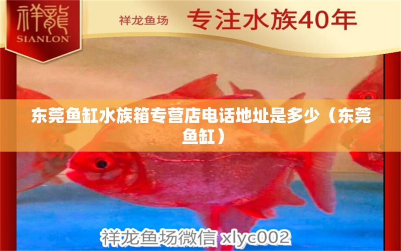 东莞鱼缸水族箱专营店电话地址是多少（东莞 鱼缸） 广州水族器材滤材批发市场