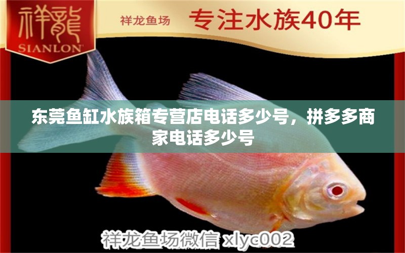 东莞鱼缸水族箱专营店电话多少号，拼多多商家电话多少号