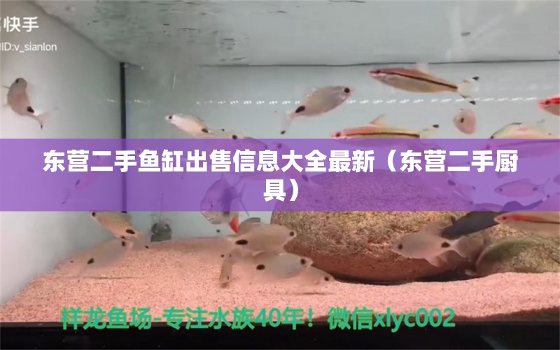 东营二手鱼缸出售信息大全最新（东营二手厨具） 广州观赏鱼批发市场