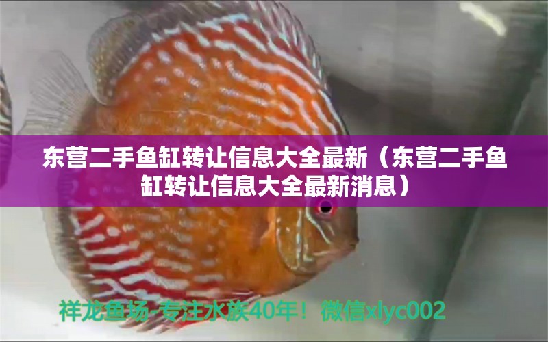 东营二手鱼缸转让信息大全最新（东营二手鱼缸转让信息大全最新消息）