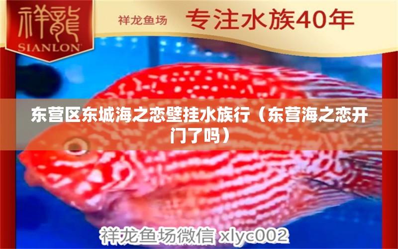 东营区东城海之恋壁挂水族行（东营海之恋开门了吗）