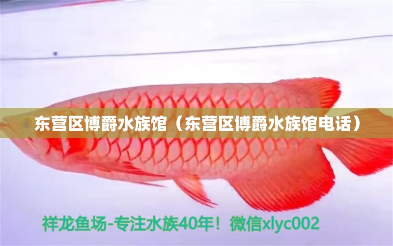 东营区博爵水族馆（东营区博爵水族馆电话）