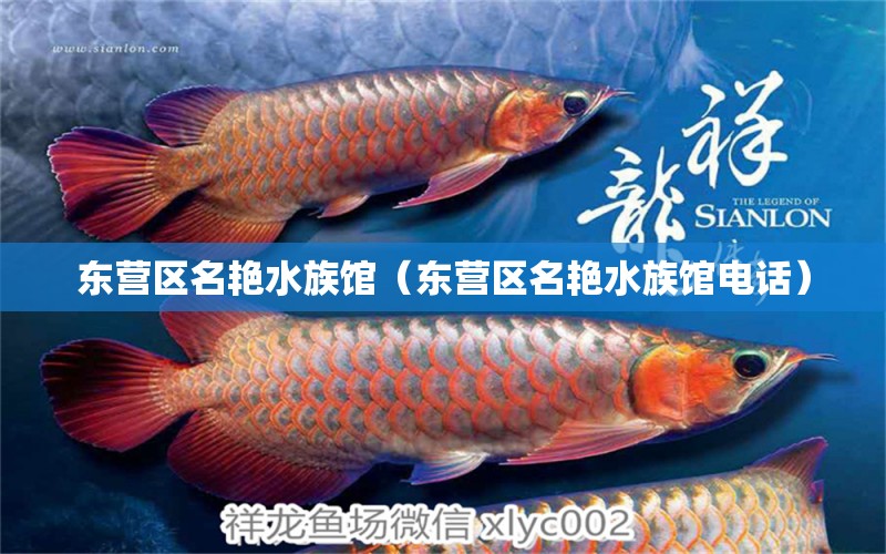 东营区名艳水族馆（东营区名艳水族馆电话） 全国水族馆企业名录