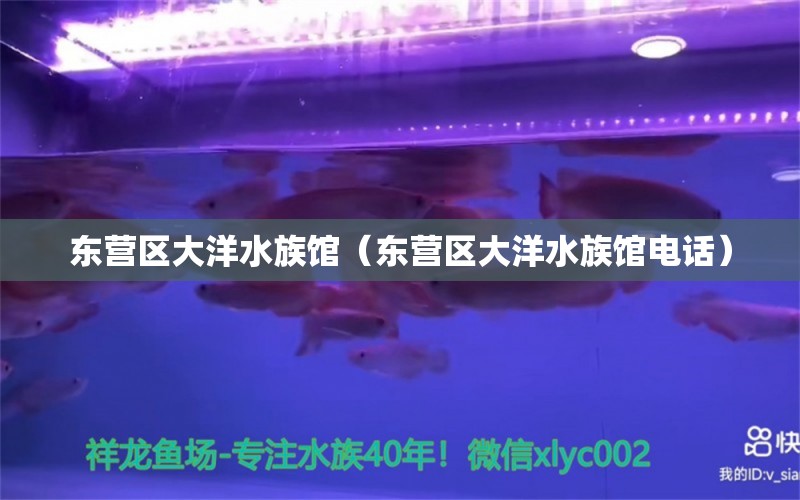 东营区大洋水族馆（东营区大洋水族馆电话）