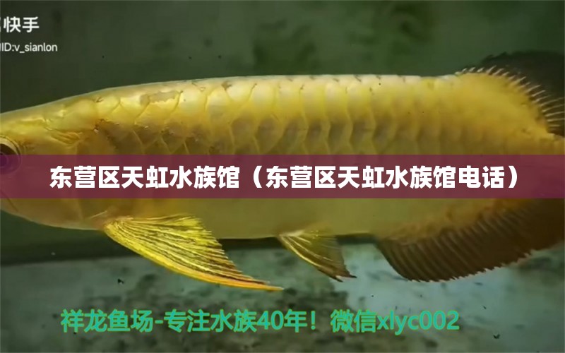 东营区天虹水族馆（东营区天虹水族馆电话）