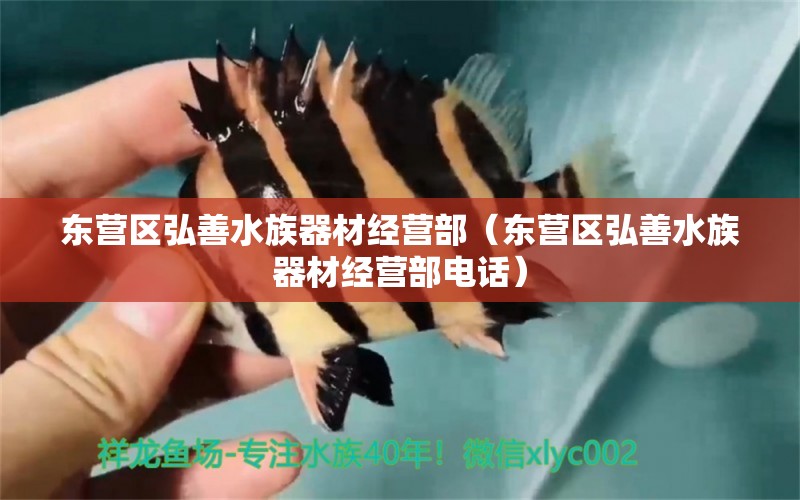 东营区弘善水族器材经营部（东营区弘善水族器材经营部电话） 全国水族馆企业名录