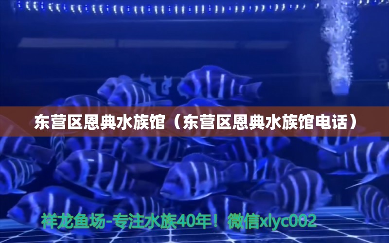 东营区恩典水族馆（东营区恩典水族馆电话） 全国水族馆企业名录