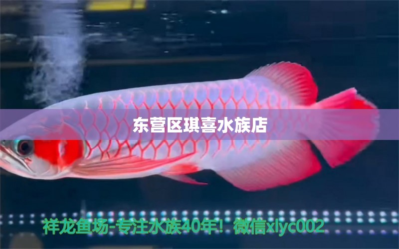 东营区琪喜水族店 全国水族馆企业名录