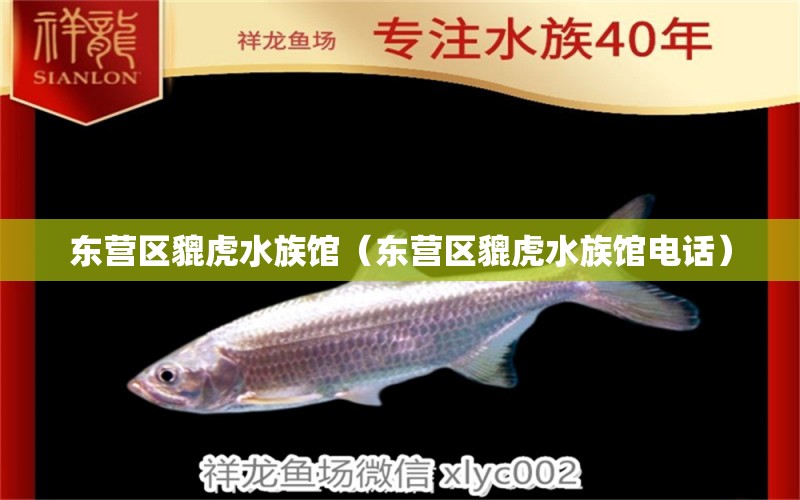 东营区貔虎水族馆（东营区貔虎水族馆电话） 全国水族馆企业名录