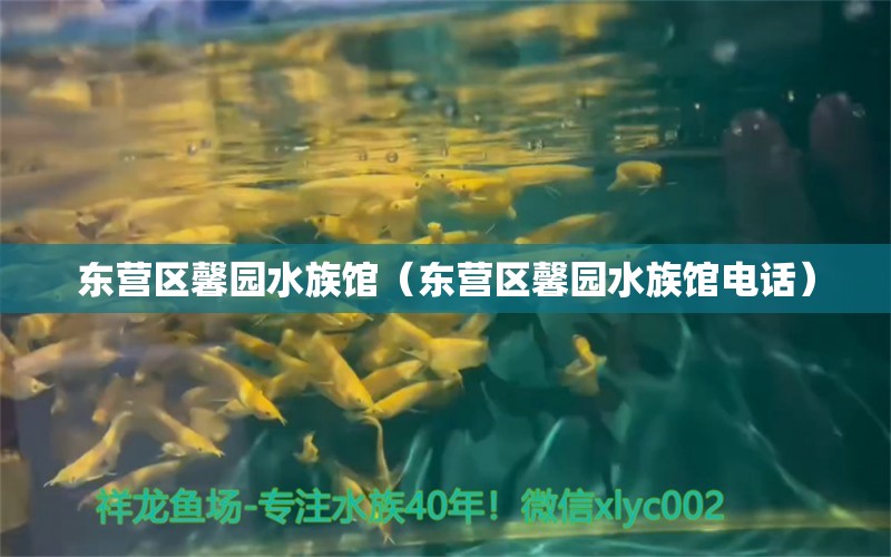 东营区馨园水族馆（东营区馨园水族馆电话）