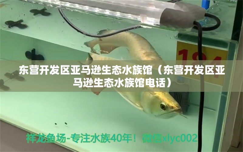 东营开发区亚马逊生态水族馆（东营开发区亚马逊生态水族馆电话） 全国水族馆企业名录