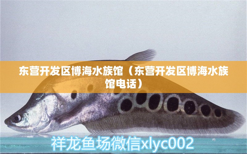 东营开发区博海水族馆（东营开发区博海水族馆电话） 全国水族馆企业名录