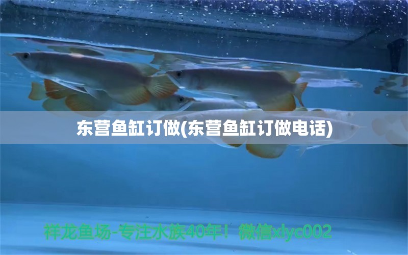 东营鱼缸订做(东营鱼缸订做电话) 泰庞海鲢鱼