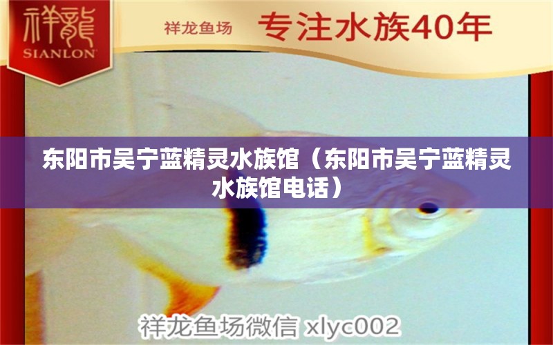 东阳市吴宁蓝精灵水族馆（东阳市吴宁蓝精灵水族馆电话） 全国水族馆企业名录