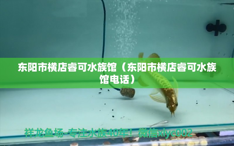 东阳市横店睿可水族馆（东阳市横店睿可水族馆电话） 全国水族馆企业名录