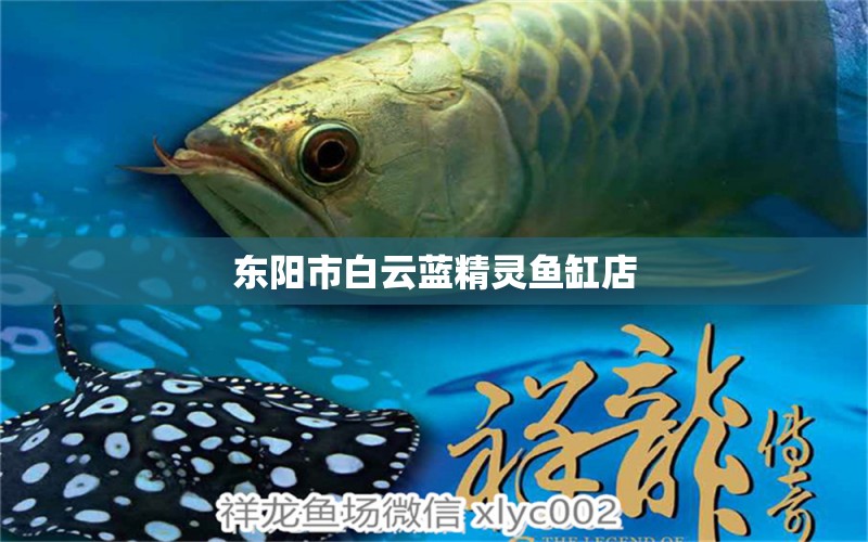 东阳市白云蓝精灵鱼缸店 全国水族馆企业名录