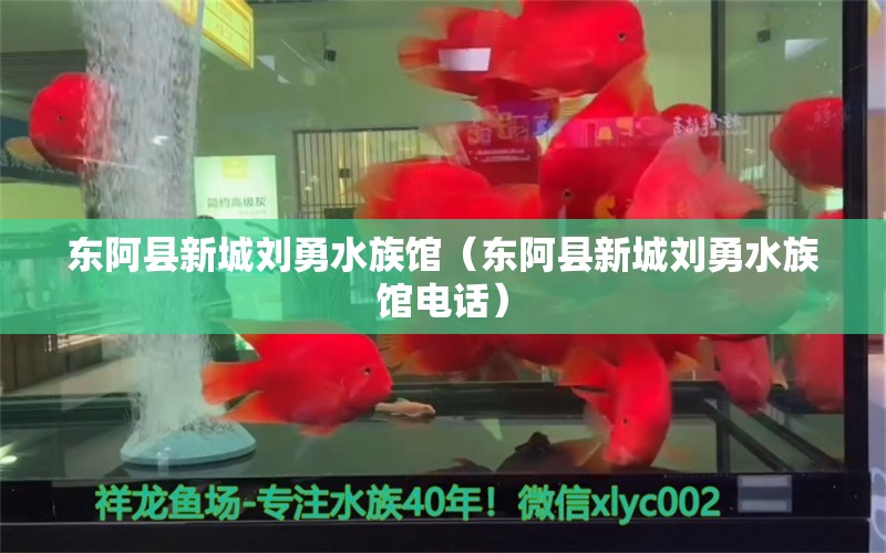 东阿县新城刘勇水族馆（东阿县新城刘勇水族馆电话）