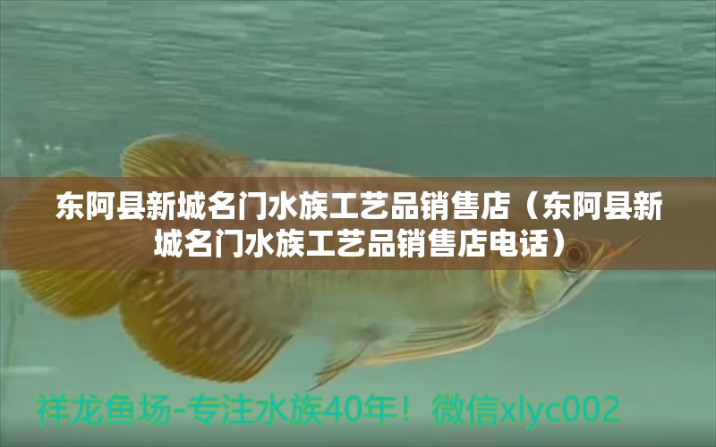 东阿县新城名门水族工艺品销售店（东阿县新城名门水族工艺品销售店电话） 全国水族馆企业名录