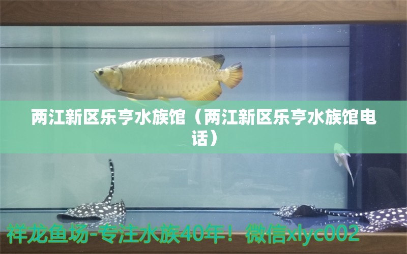 两江新区乐亨水族馆（两江新区乐亨水族馆电话） 全国水族馆企业名录