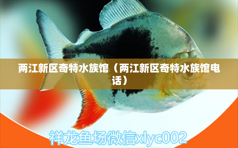 两江新区奇特水族馆（两江新区奇特水族馆电话）