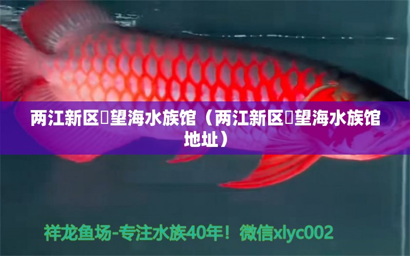 两江新区瞭望海水族馆（两江新区瞭望海水族馆地址） 全国水族馆企业名录