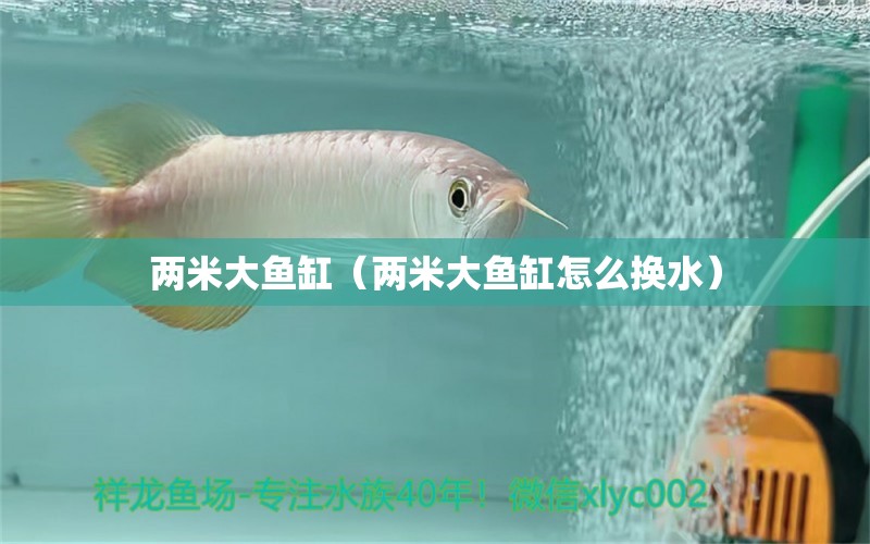 两米大鱼缸（两米大鱼缸怎么换水） 鱼缸百科