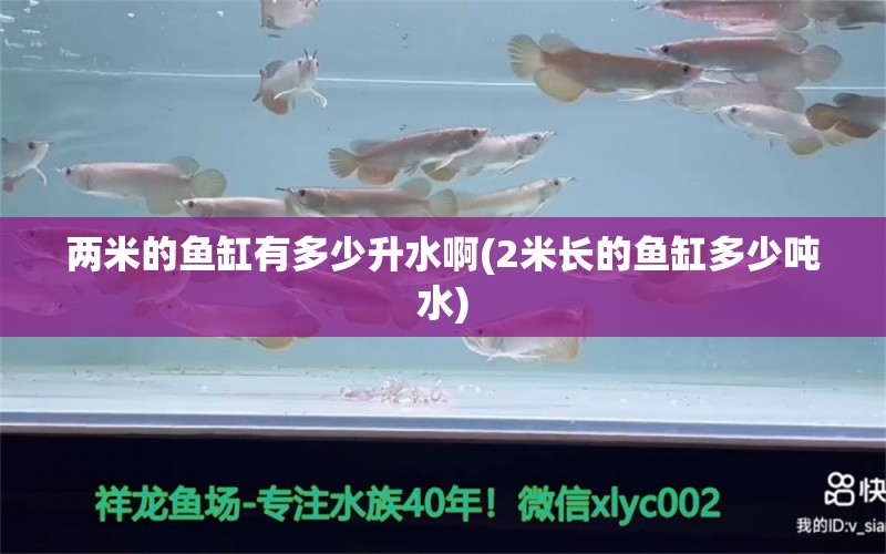 两米的鱼缸有多少升水啊(2米长的鱼缸多少吨水) 大日玉鲭鱼 第1张