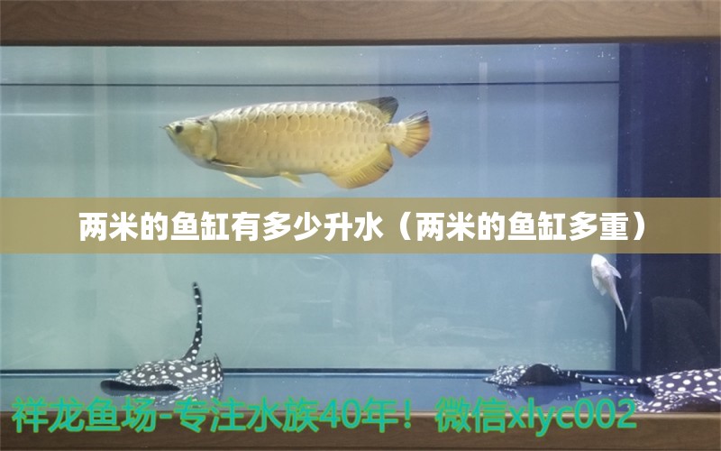 两米的鱼缸有多少升水（两米的鱼缸多重） 电鳗