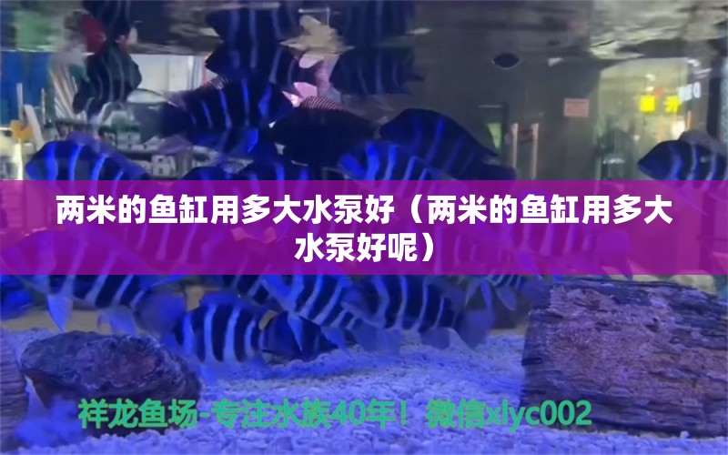 两米的鱼缸用多大水泵好（两米的鱼缸用多大水泵好呢）