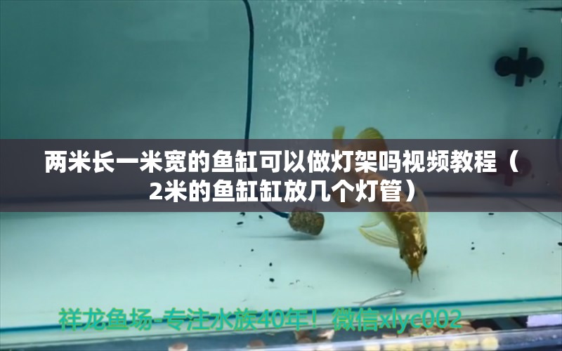 两米长一米宽的鱼缸可以做灯架吗视频教程（2米的鱼缸缸放几个灯管） 其他品牌鱼缸
