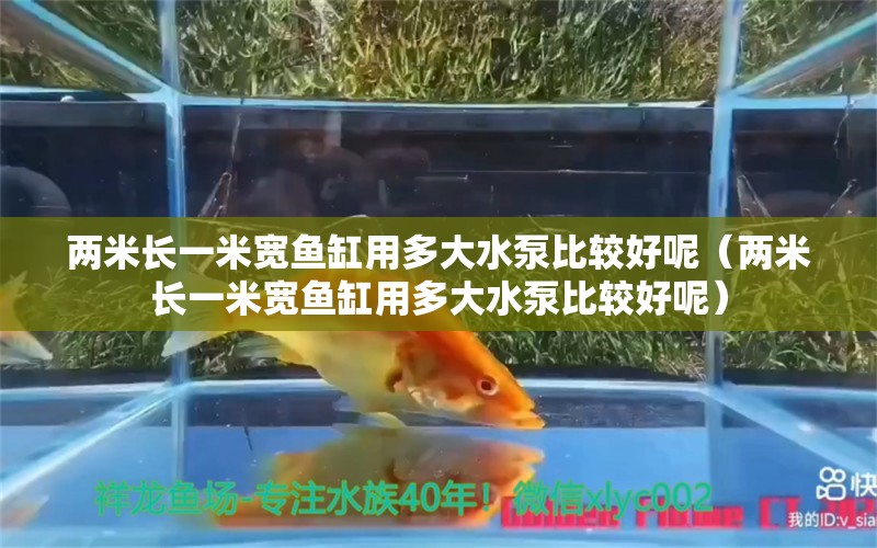 两米长一米宽鱼缸用多大水泵比较好呢（两米长一米宽鱼缸用多大水泵比较好呢） 其他品牌鱼缸