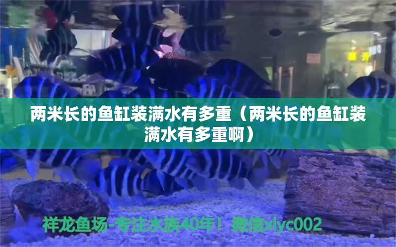 两米长的鱼缸装满水有多重（两米长的鱼缸装满水有多重啊） 鱼缸百科