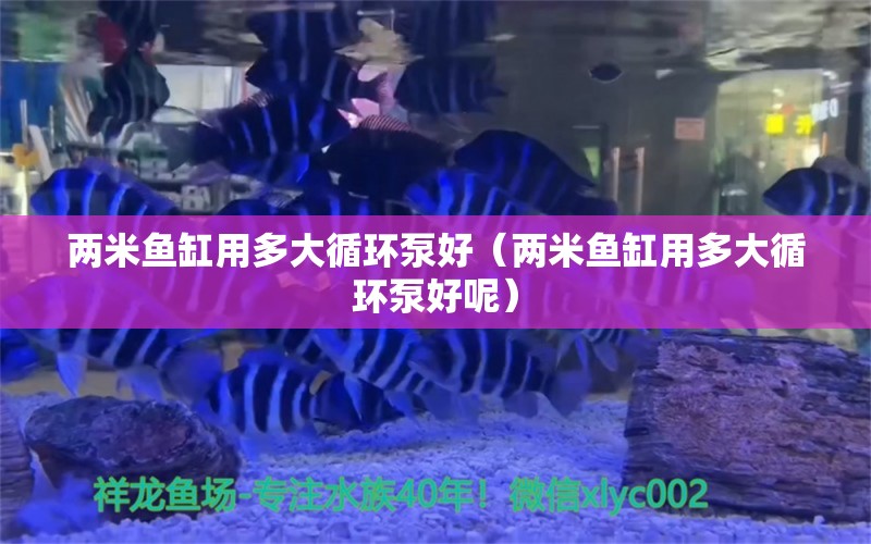 两米鱼缸用多大循环泵好（两米鱼缸用多大循环泵好呢）